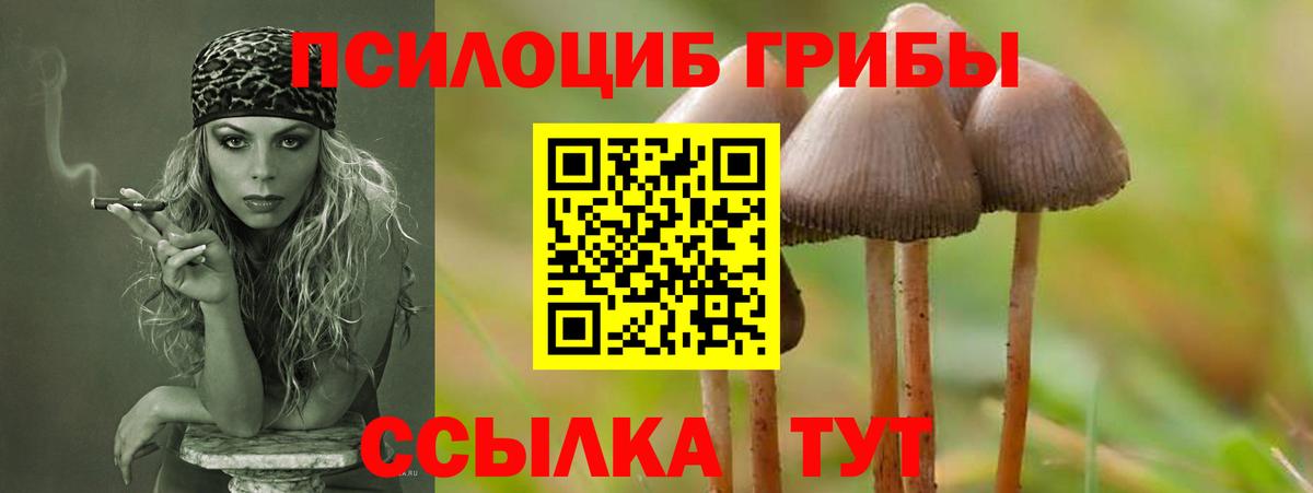 Псилоцибиновые грибы MAGIC MUSHROOMS  Вход с VPN  Ижевск  Псилоцибиновые грибы Magic Shrooms 